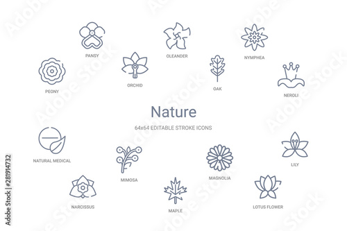 nature concept 14 outline icons