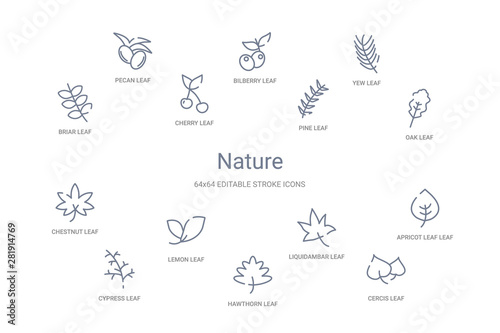 nature concept 14 outline icons