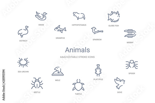 animals concept 14 outline icons © zaurrahimov