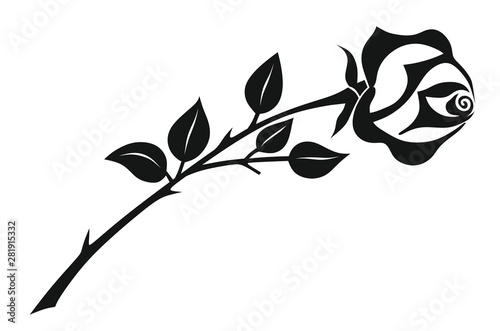 Rose0308a