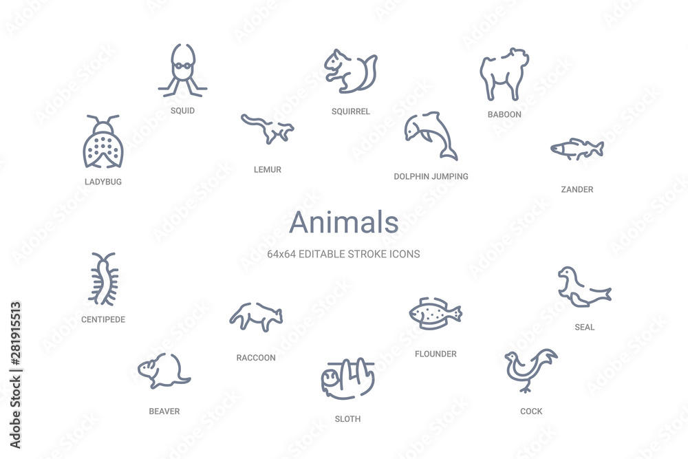 animals concept 14 outline icons