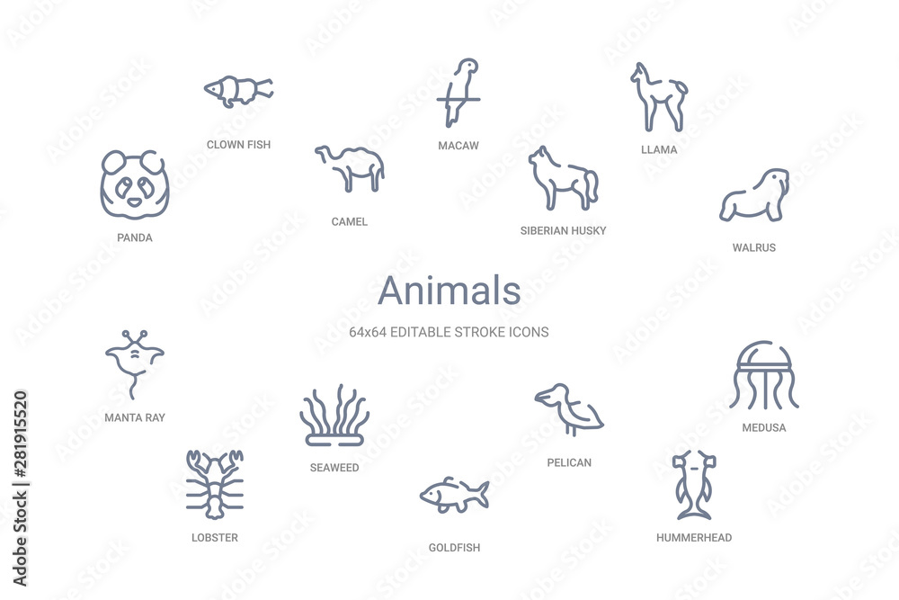 animals concept 14 outline icons