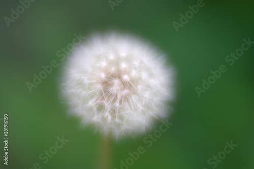 Tokyo Japan-August 3  2019  Isolated parachute ball on green background