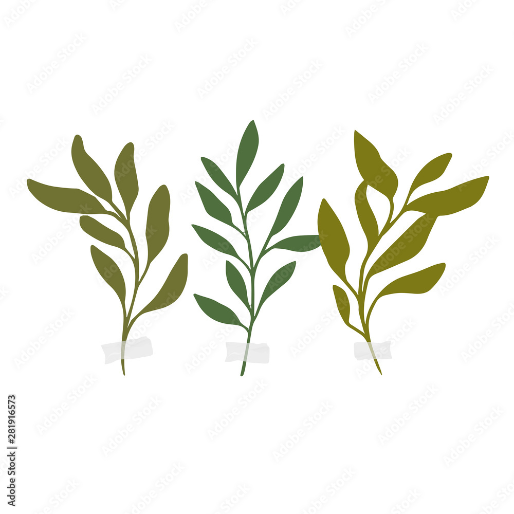 Vector botanic illustrations. Botanical clipart. Vector botanic illustrations. Botanical clipart.