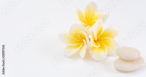 Beautiful Plumeria flower and white zen stone with space for text,spa concept