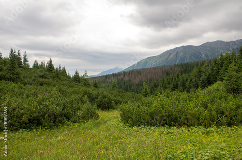 Beautiful landscape of Gasienicowa Valley in June. Tatra Mountains. Poland.