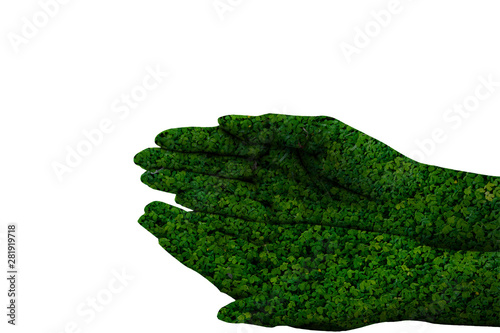 Green hand isolated on white background. This had clipping path. environment concept.