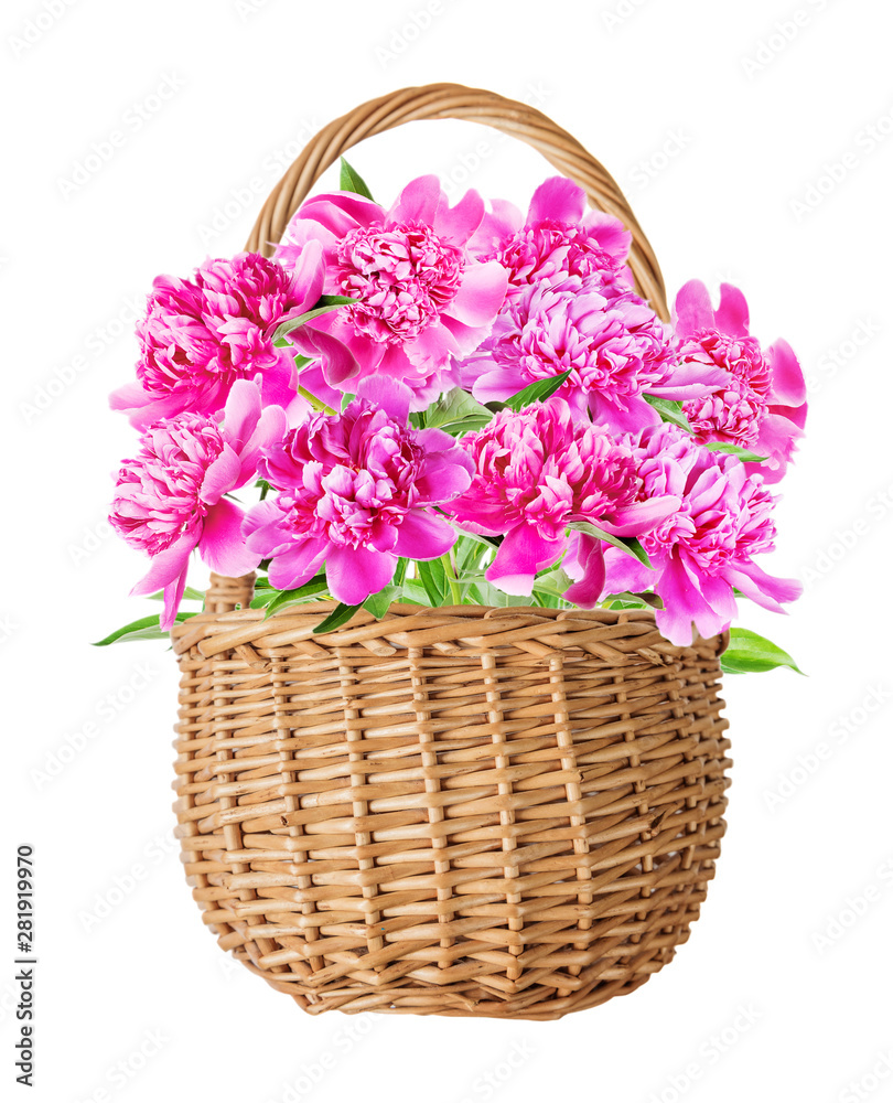 Wicker basket with pink peonies flowers on a white background