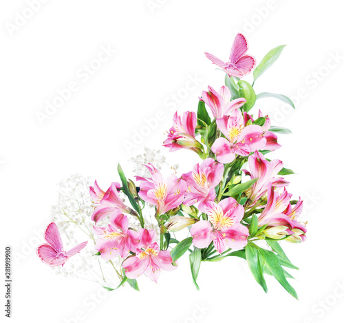 Alstroemeria flowers on a white background