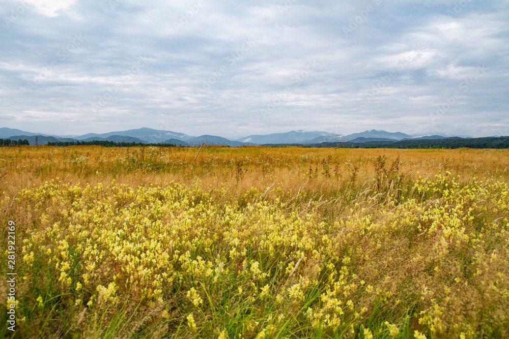 natural background field of grass, mountains and sky