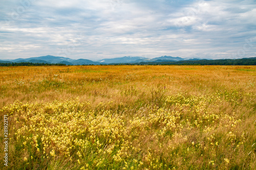 natural background field of grass  mountains and sky