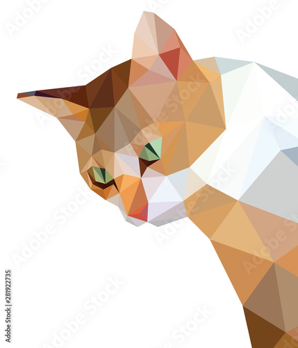 Orange cat low polygon, brown face with green eyes isolated on white.