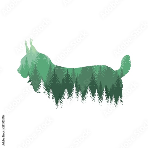 Wild lynx profile