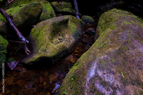 Brook between wet stones in Blue Mountains rainforest in Australia photo