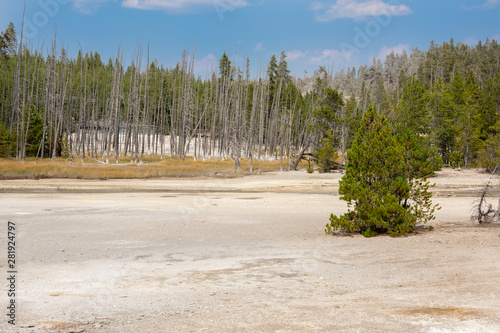 norris geyser back basin in in Yellowstone National Park in Wyoming photo