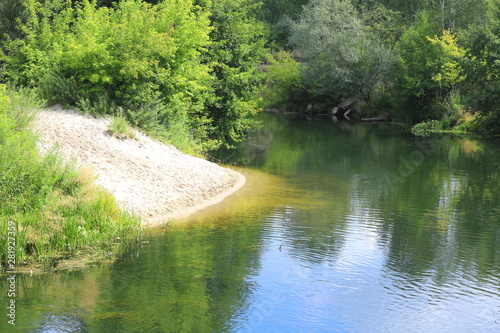 Beautiful sandy beach at bend of clear river among green trees and other green plants in summer in clear weather