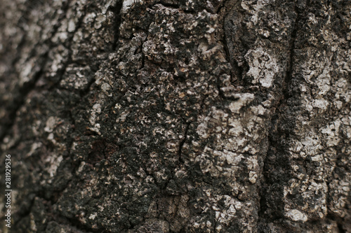 surface