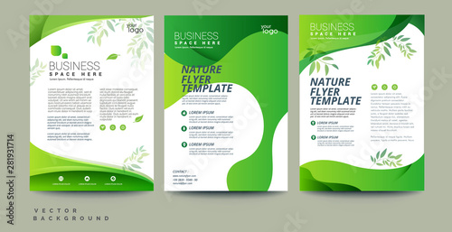 Vector eco flyer, poster, brochure, magazine cover template. Modern green leaf, environment design. - Vector