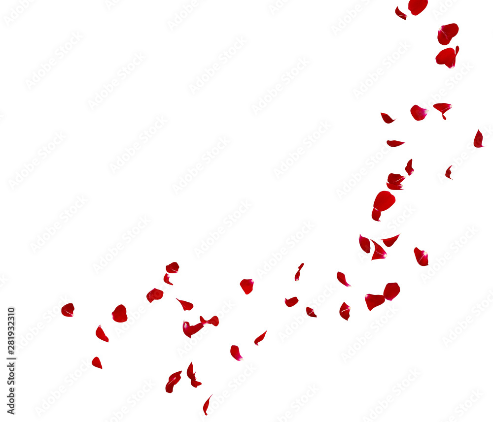 Red rose petals fly in a circle. The center free space for Your photos or text