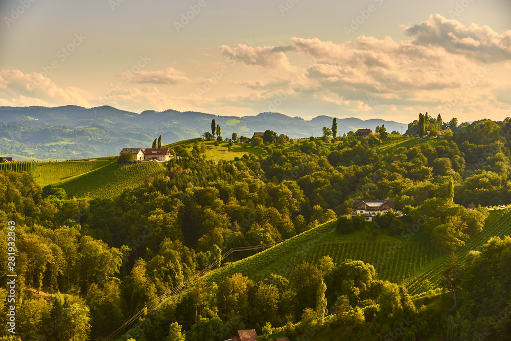 Grape hills and mountains view from wine street in Styria, Austria ( Sulztal Weinstrasse ) in summer.