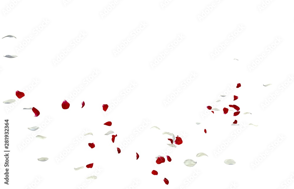 Red and white rose petals fall to the floor Red and white rose petals fall to the floor