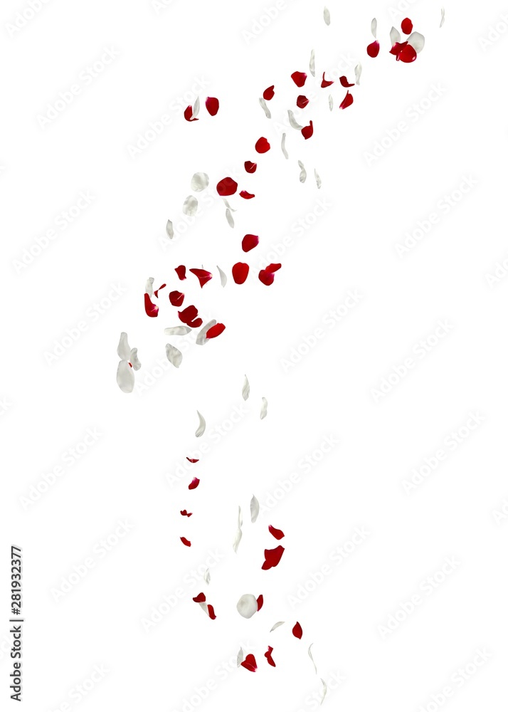 Red and white rose petals fall to the floor Red and white rose petals fall to the floor
