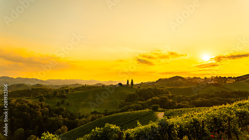 Austrian grape hills view from wine road in summer. Tourist destination  travel spot.