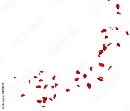 Red rose petals fly in a circle. The center free space for Your photos or text