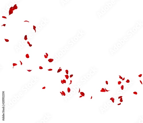 Red rose petals fly in a circle. The center free space for Your photos or text