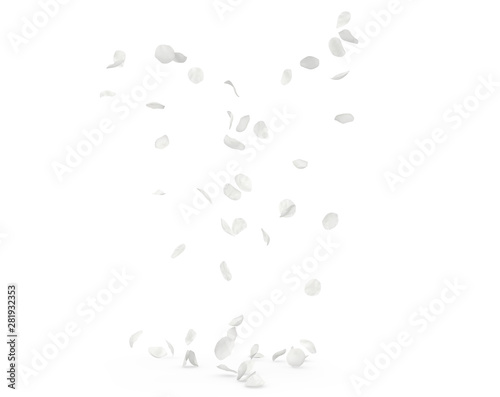 Rose white petals fly and fall to the floor photo