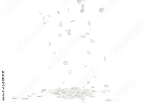Rose white petals fly and fall to the floor