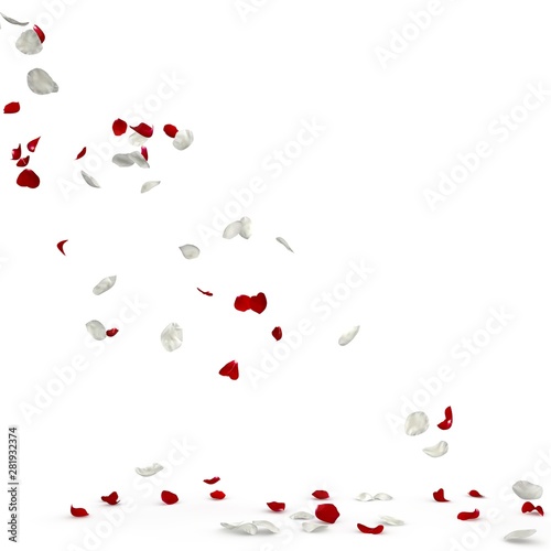 Red and white rose petals fall to the floor