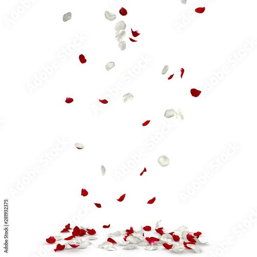 Red and white rose petals fall to the floor