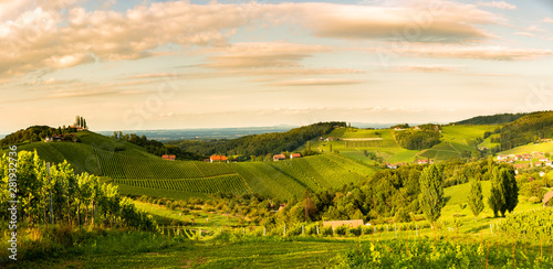 Grape hills and mountains view from wine street in Styria, Austria ( Sulztal Weinstrasse ) in summer.