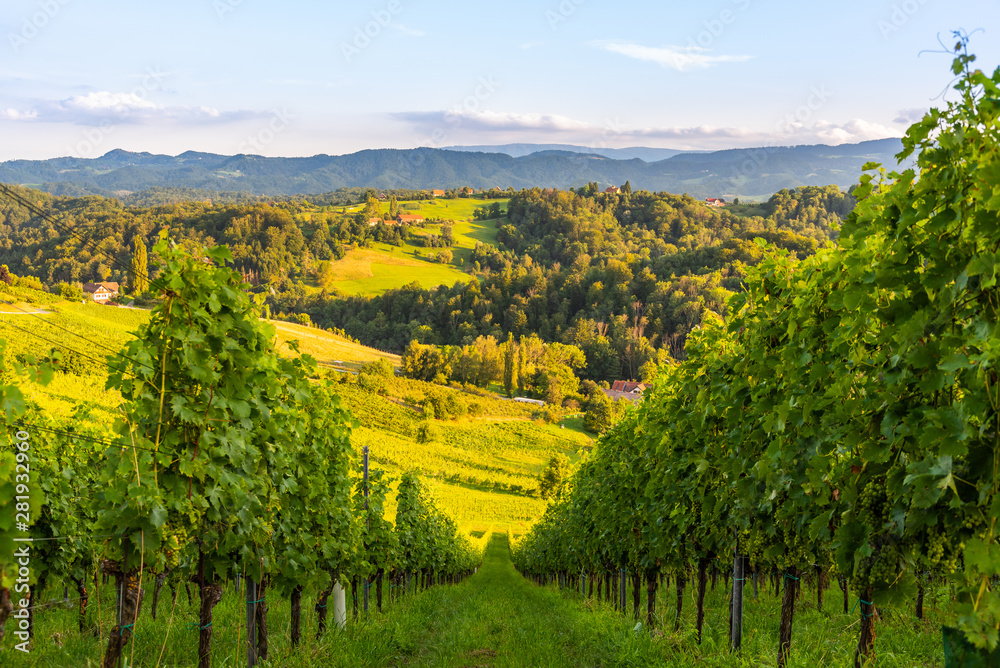 Grape hills and mountains view from wine street in Styria, Austria ( Sulztal Weinstrasse ) in summer.