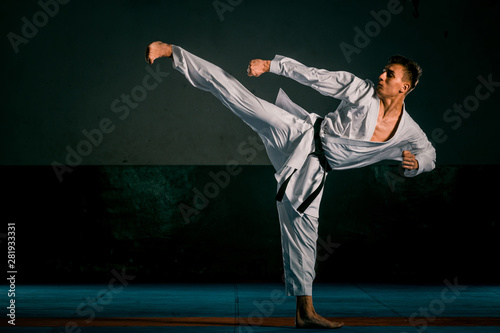 An image of a taekwondo martial arts master photo