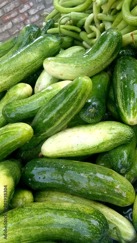 organic cucumber that is sell on traditional market organic cucumber that is sell on traditional market