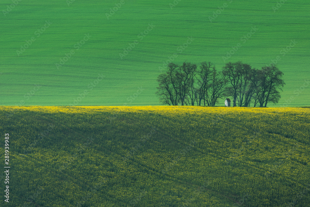 The small white Santa Barbara chapel surrounded by rape and wheat fields. Beautiful abstract colorful landscape with rolling hills in South Moravia, Czech Republic.