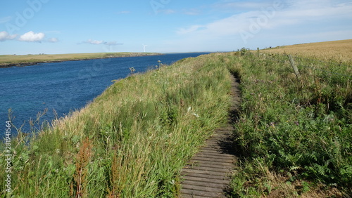Foot path on a cliff in Westray  Orkney