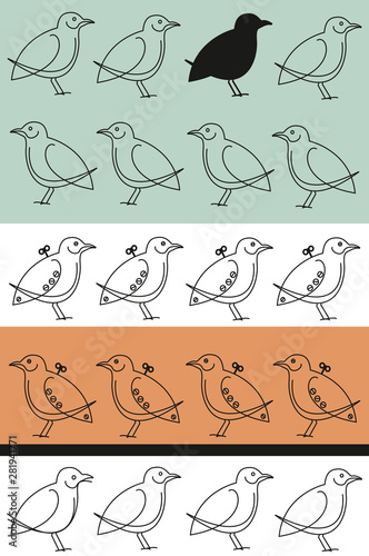 birds