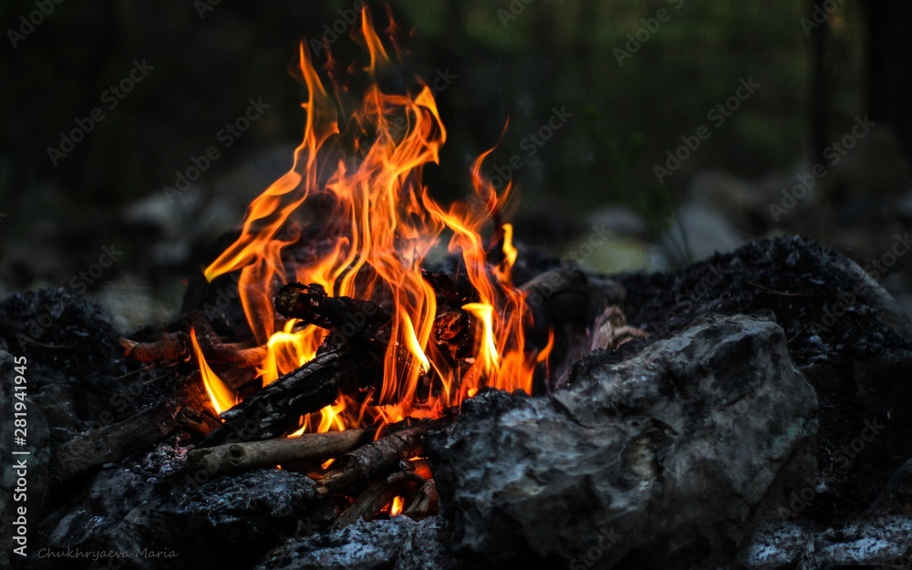 Fire, forest, fire in the forest, bonfire, coal, fire at night, beautiful fire Fire, forest, fire in the forest, bonfire, coal, fire at night, beautiful fire