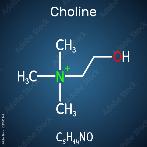 Choline vitamin-like essential nutrien molecule. It is a constituent of lecithin. Structural chemical formula on the dark blue background