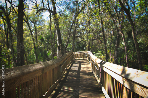 Bridge in the woods