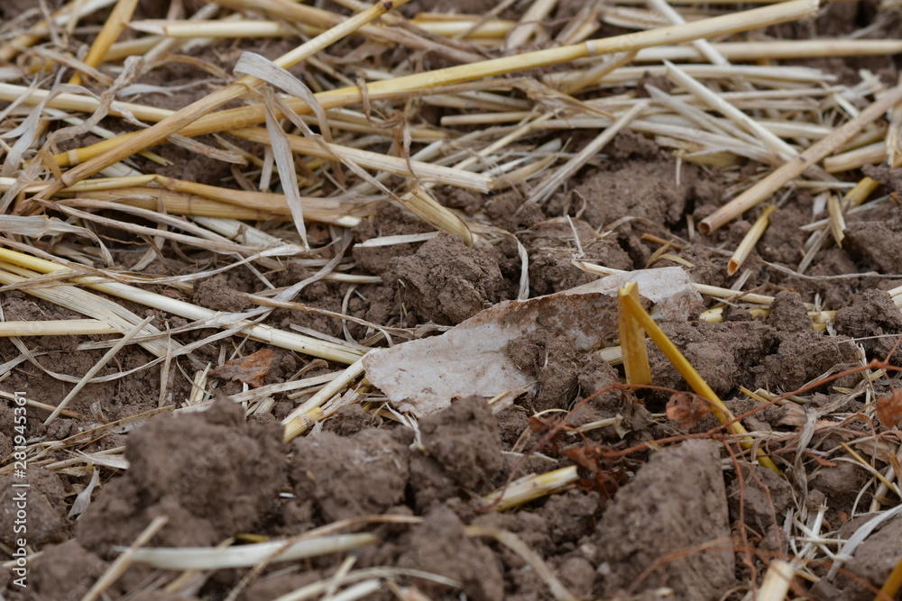 A piece of plastic foil in a field.