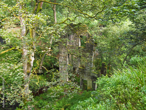 Photography an old abandoned stone house in a forest overgrown with vegetation and hidden by