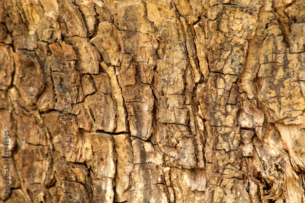 old wood texture for background old wood texture for background