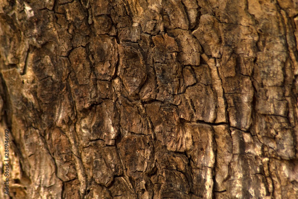 old wood texture for background old wood texture for background