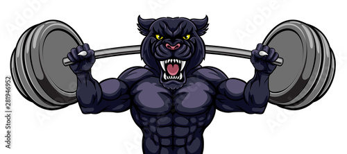 A panther animal body builder sports mascot weight lifting a barbell