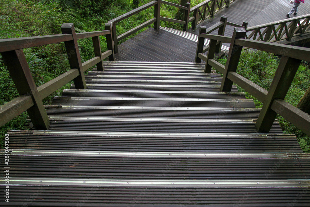 Fototapeta premium The walkway from wood in Alishan forest at Alishan national park, taiwan