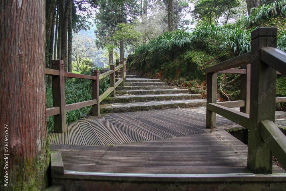 The walkway from wood in Alishan forest at Alishan national park, taiwan The walkway from wood in Alishan forest at Alishan national park, taiwan